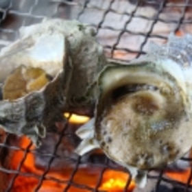 サザエの焼き方 楽天レシピ サザエの焼き方 楽天レシピ